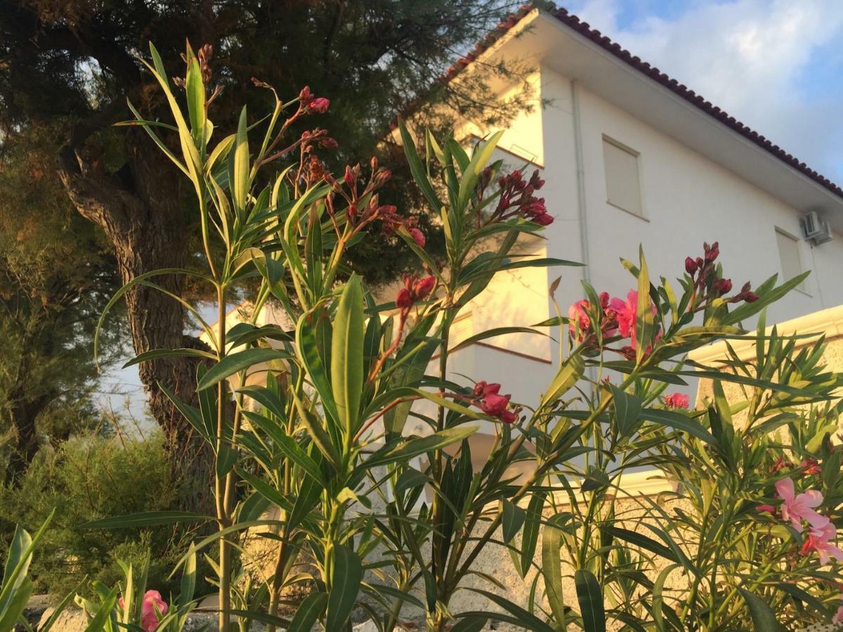 Rivamare Campora Casa Vacanze Campora San Giovanni Luaran gambar